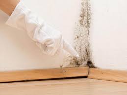 Scotia, NY Mold Prevention & Removal  Company